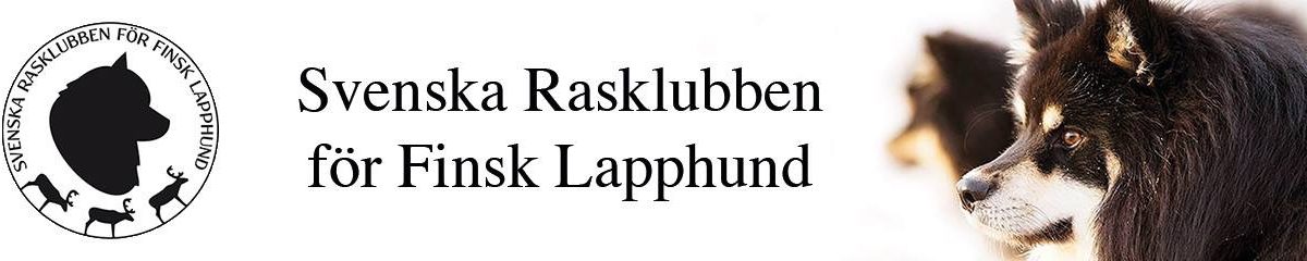 Svenska Rasklubben för Finsk Lapphund
